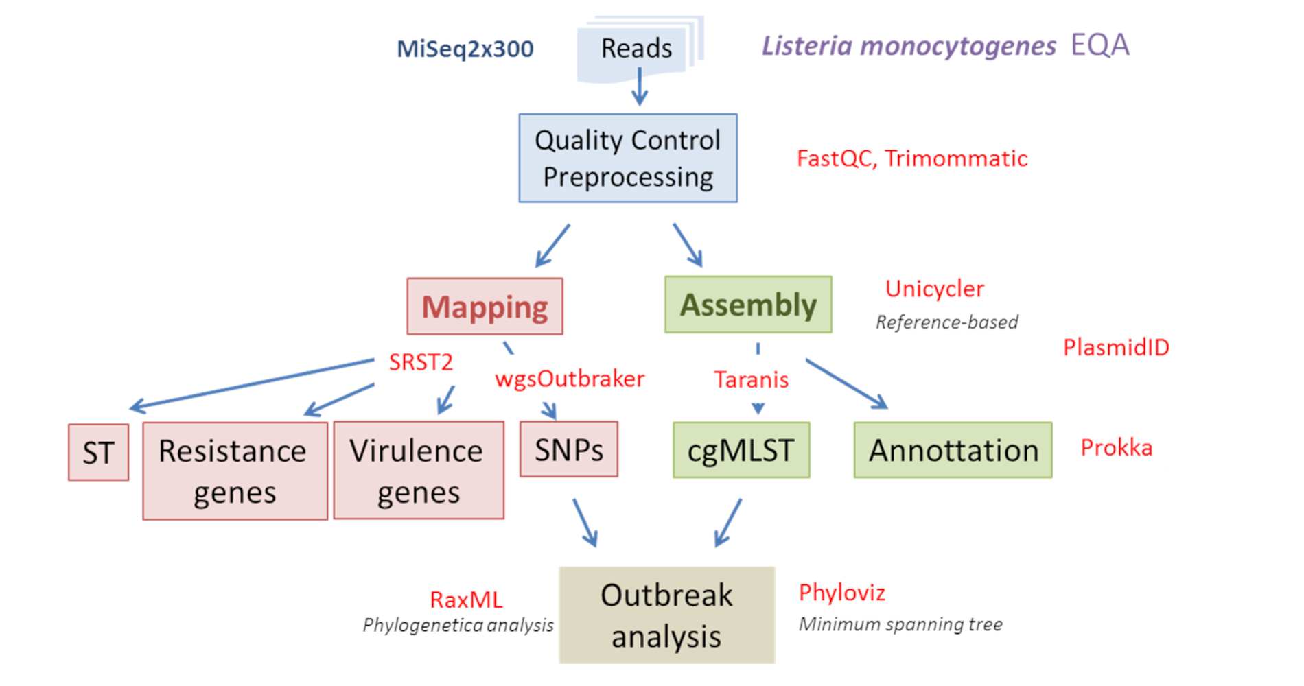 Thumbnail for Bacterial WGS training