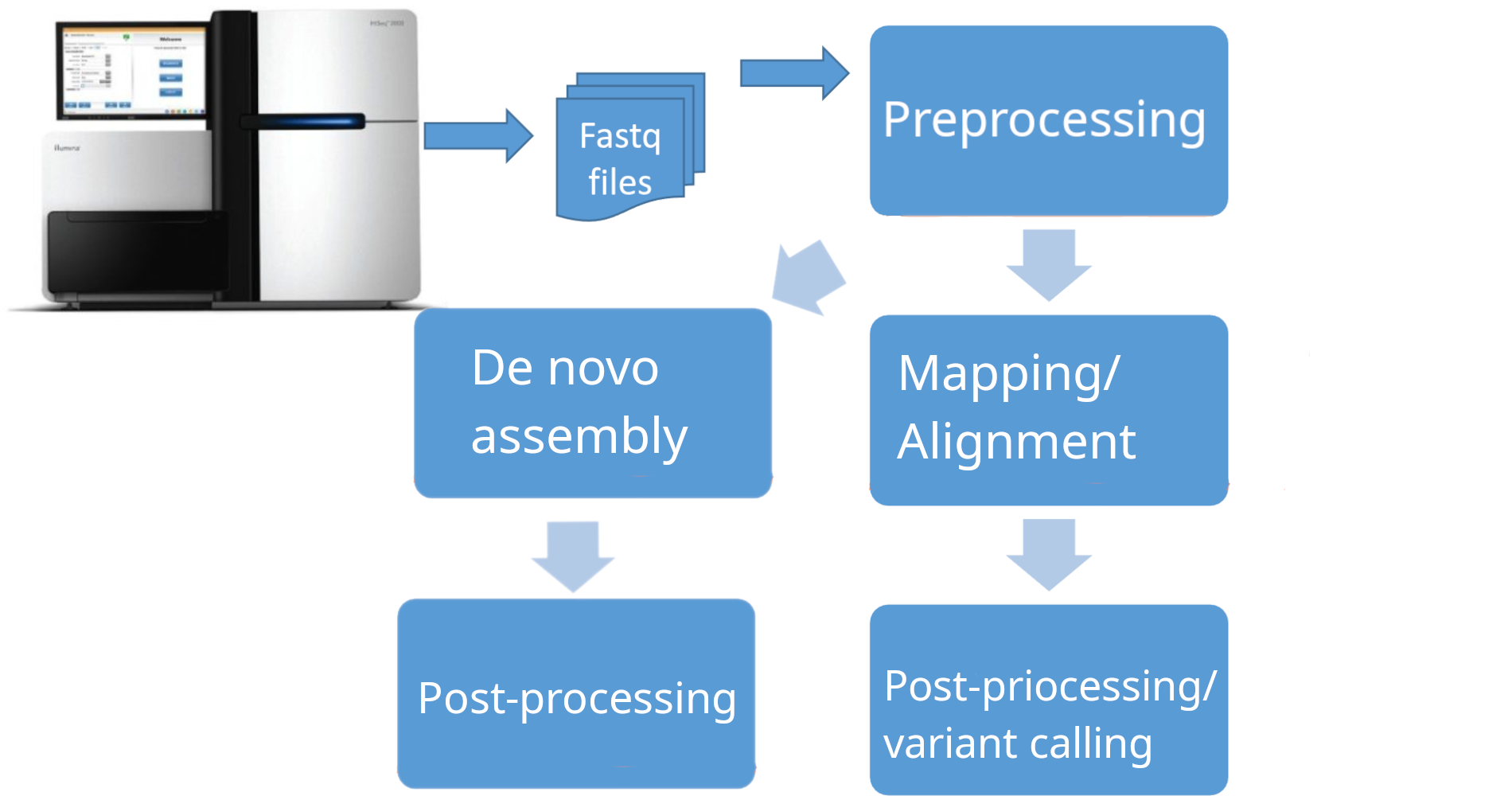 Thumbnail for Introduction to Bioinformatics